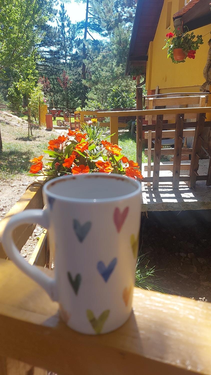 Planinska kuca Lunjo & Vuk House in Zlatibor District, Serbia