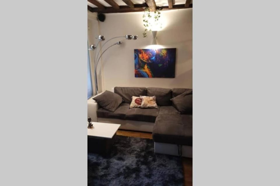 Cozy apt Heart of Paris, 3 mins Louvre Apartment in Paris