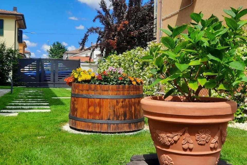 Spring, Day, Garden, Garden view