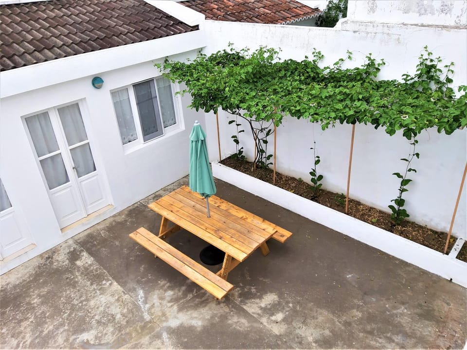 Patio, Garden, Garden view