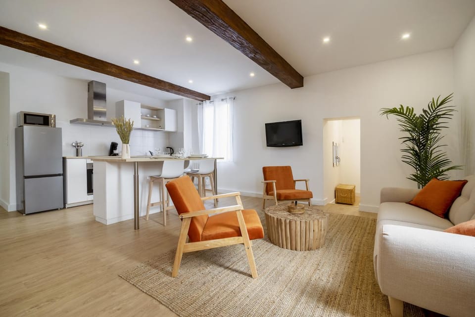 Magnifique appartement plein centre, calme, Netflix Apartment in Occitanie