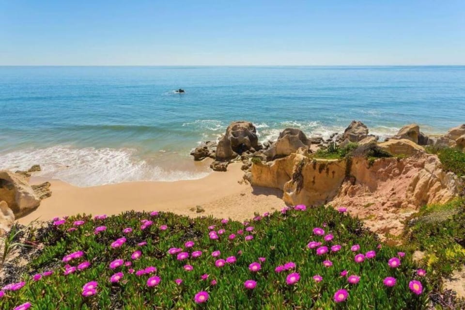Beach, Sea view