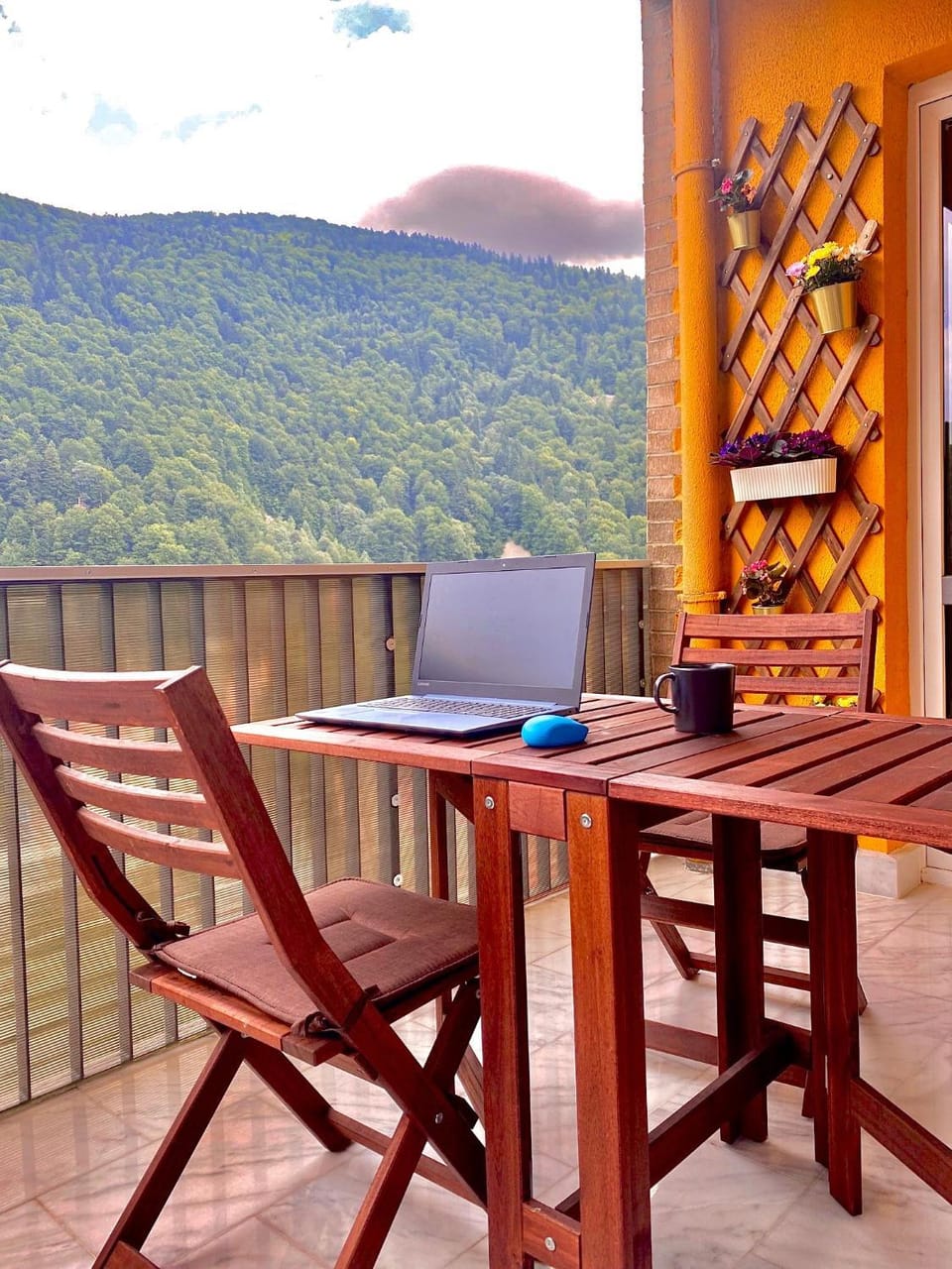 Natural landscape, View (from property/room), Balcony/Terrace, Mountain view