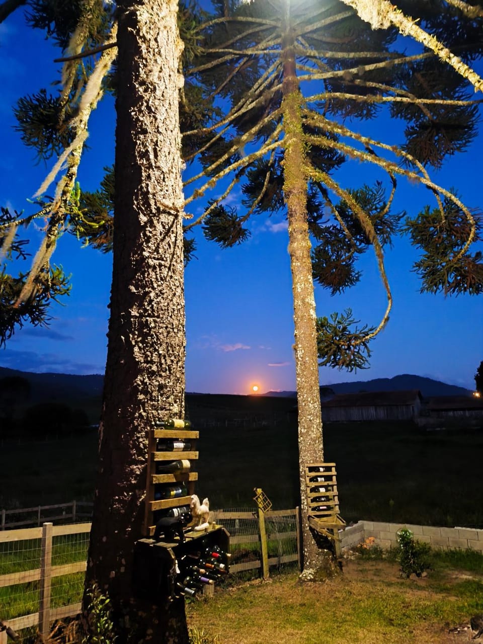 Natural landscape, Sunrise