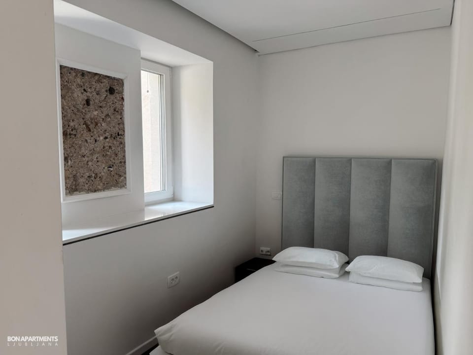 Quiet Apartment with Garden + Parking Apartment in Ljubljana