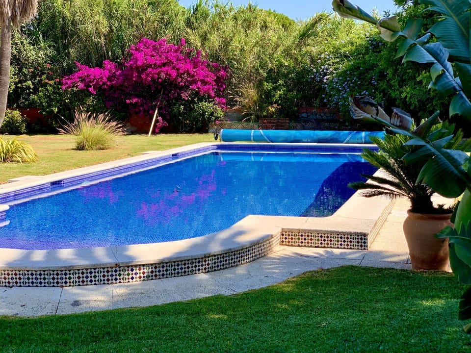 Garden, Pool view, Swimming pool