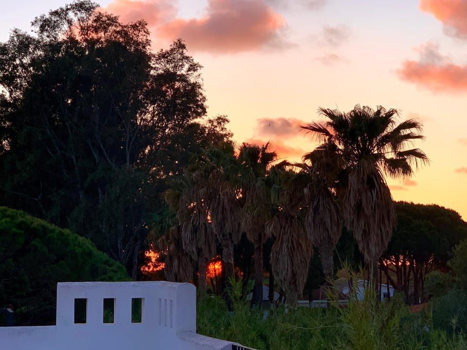 Balcony/Terrace, Sunset