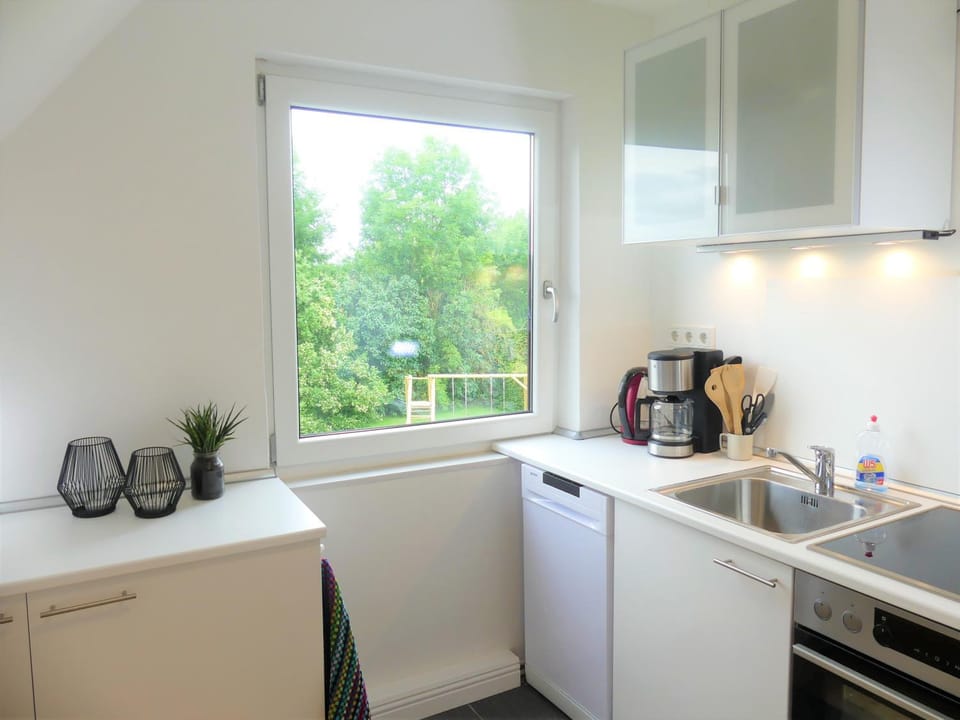 Kitchen or kitchenette, kitchen