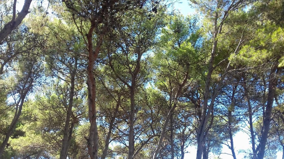 Natural landscape