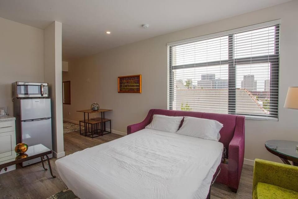 One Bedroom Apartment with San Diego Downtown View Apartment in San Diego