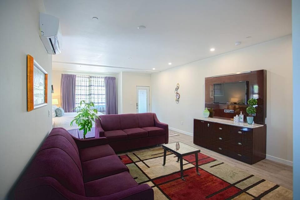 Spacious 500 sqft Studio with Balboa Park View Apartment in San Diego