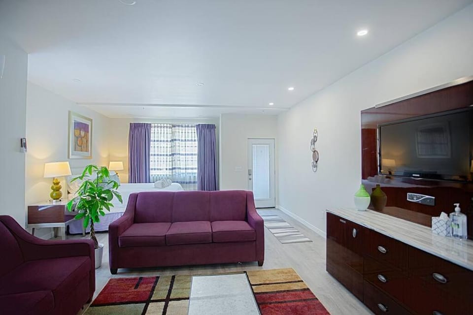 Spacious 500 sqft Studio with Balboa Park View Apartment in San Diego