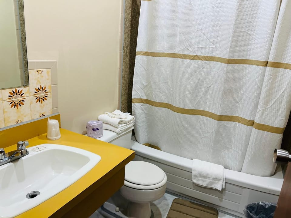 Toilet, Bathroom, Bath