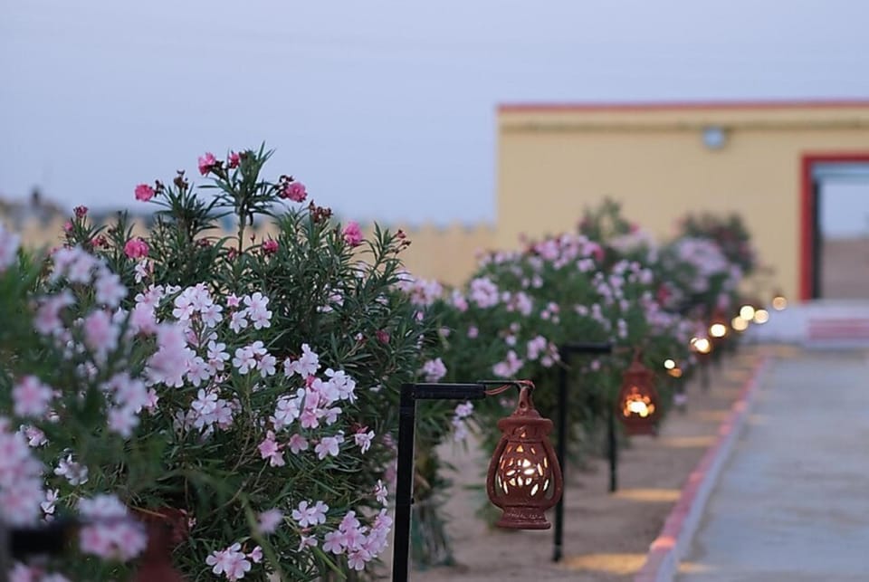 Garden, Garden view