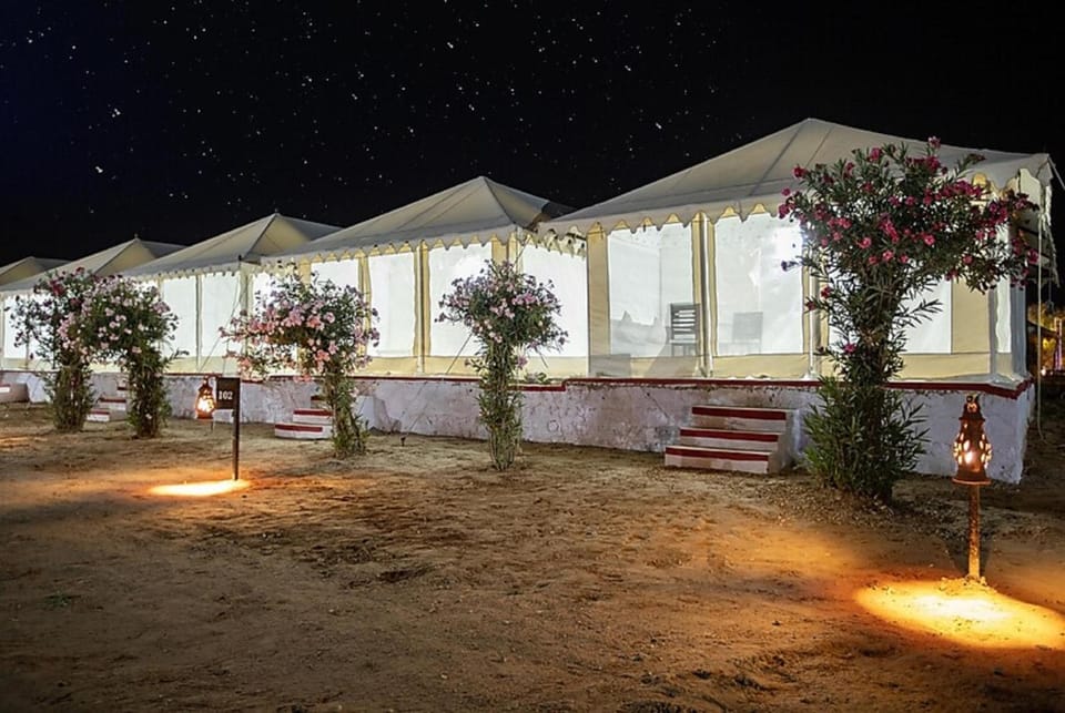 Property building, Night, Garden, Garden view