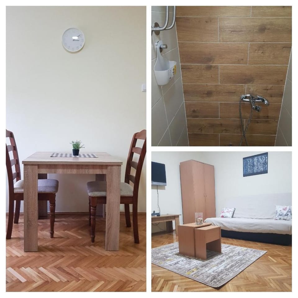 Garsonjera Ilic Apartment in Serbia