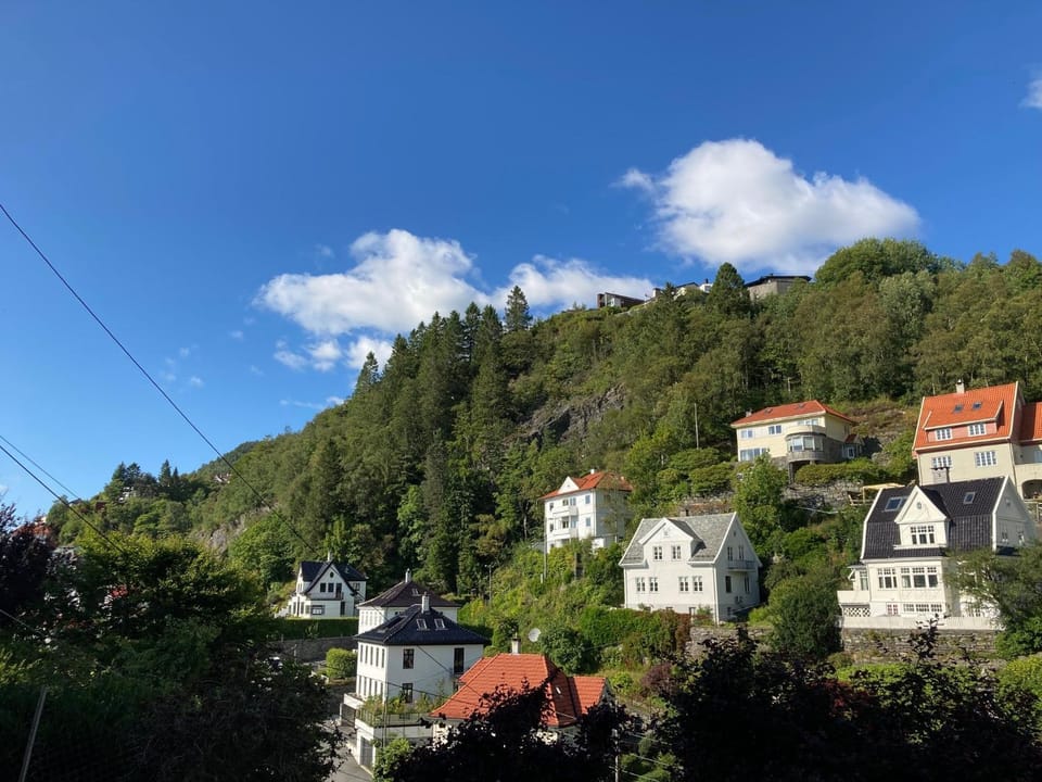 Mountain view