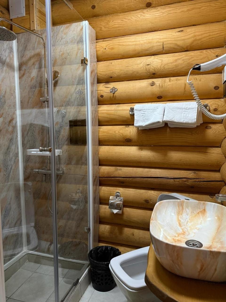 Shower, Toilet, hair dryier, towels