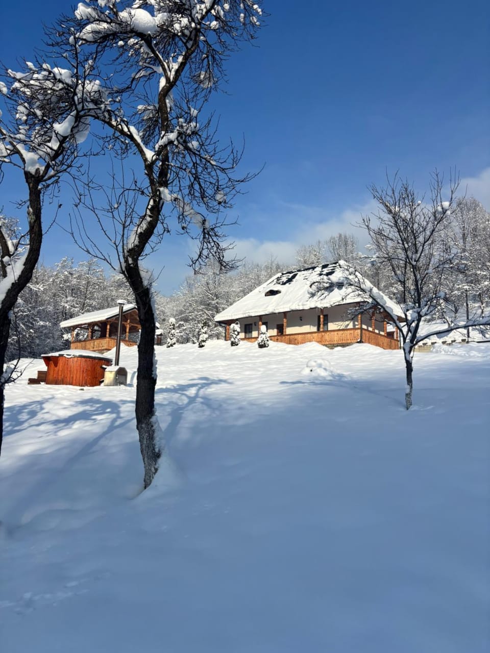 Casa Berg Bed and Breakfast in Romania