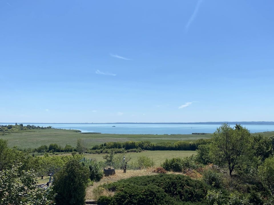 Lake view