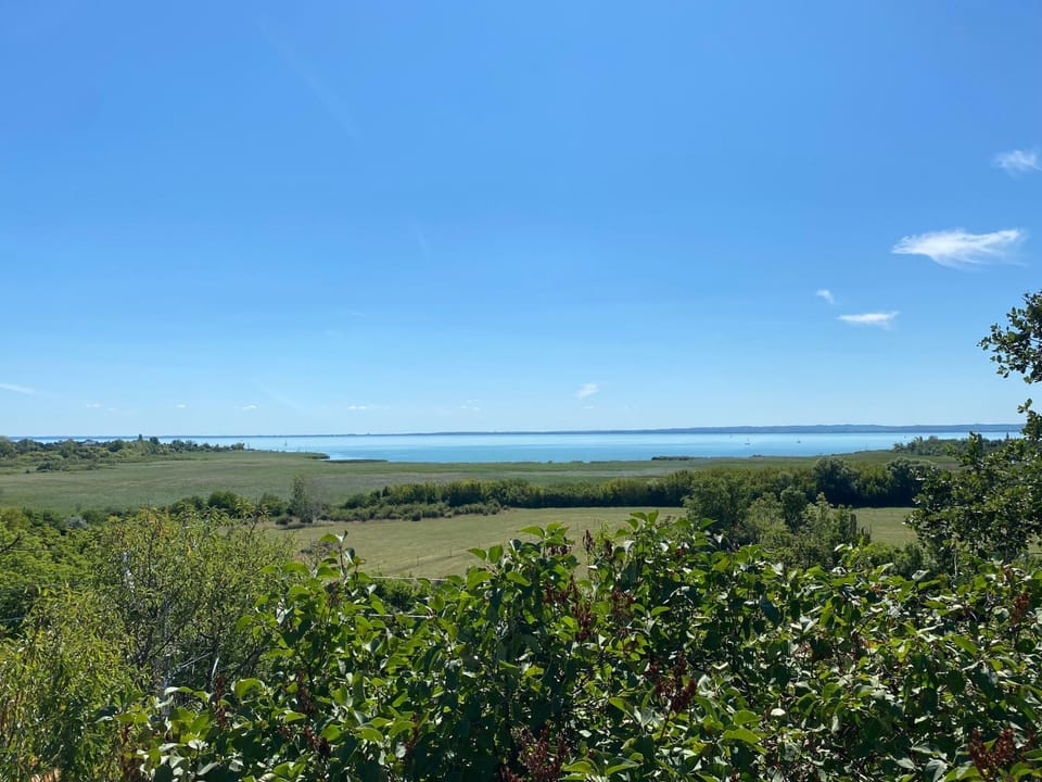 Lake view