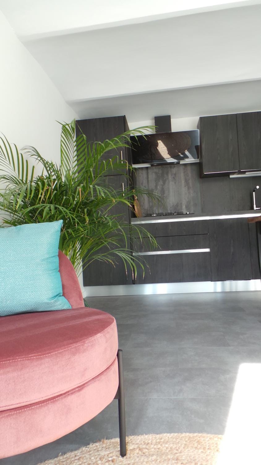 Living room, kitchen