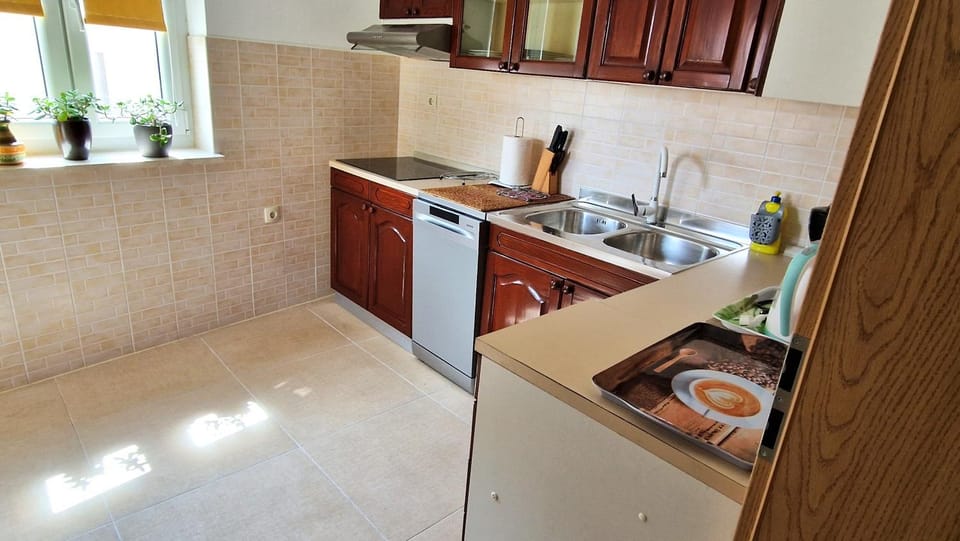 Kitchen or kitchenette, dishwasher, stove