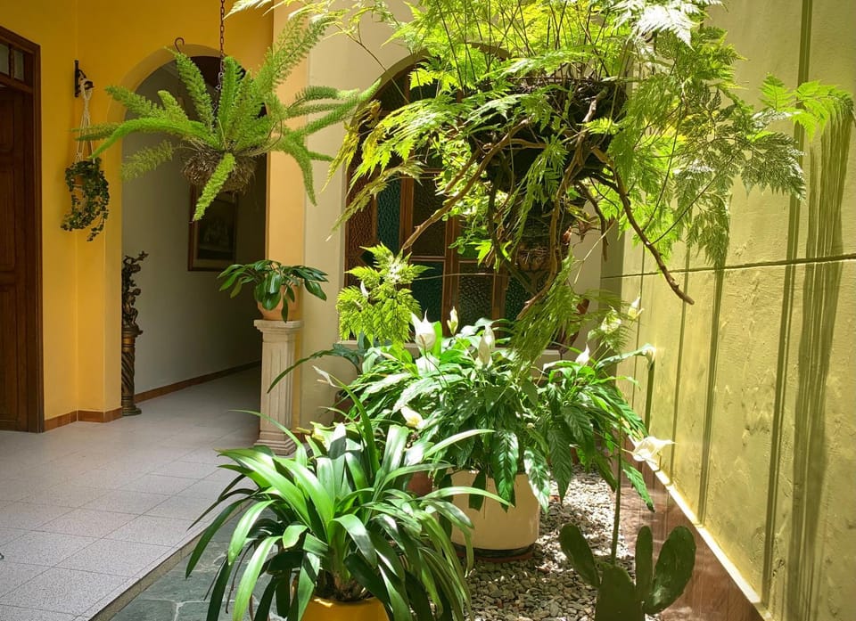 Patio, Garden, Solarium