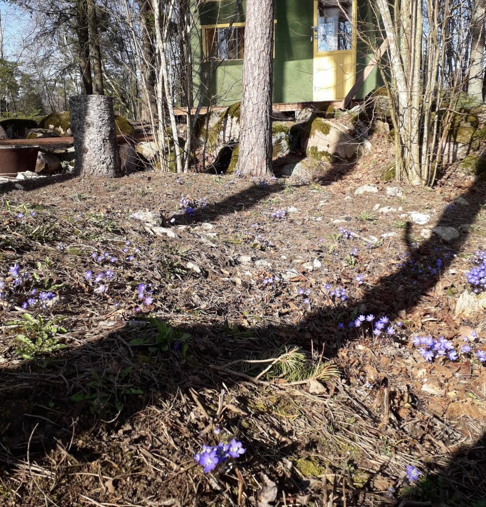 Property building, Patio, Spring, Inner courtyard view