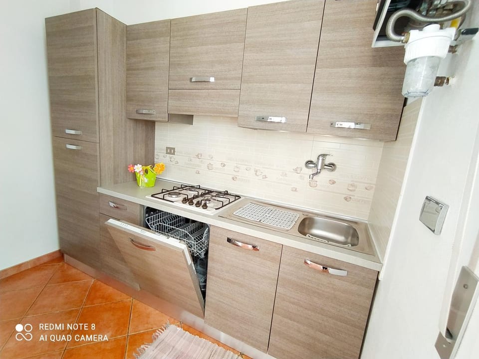 Kitchen or kitchenette, dishwasher, stove