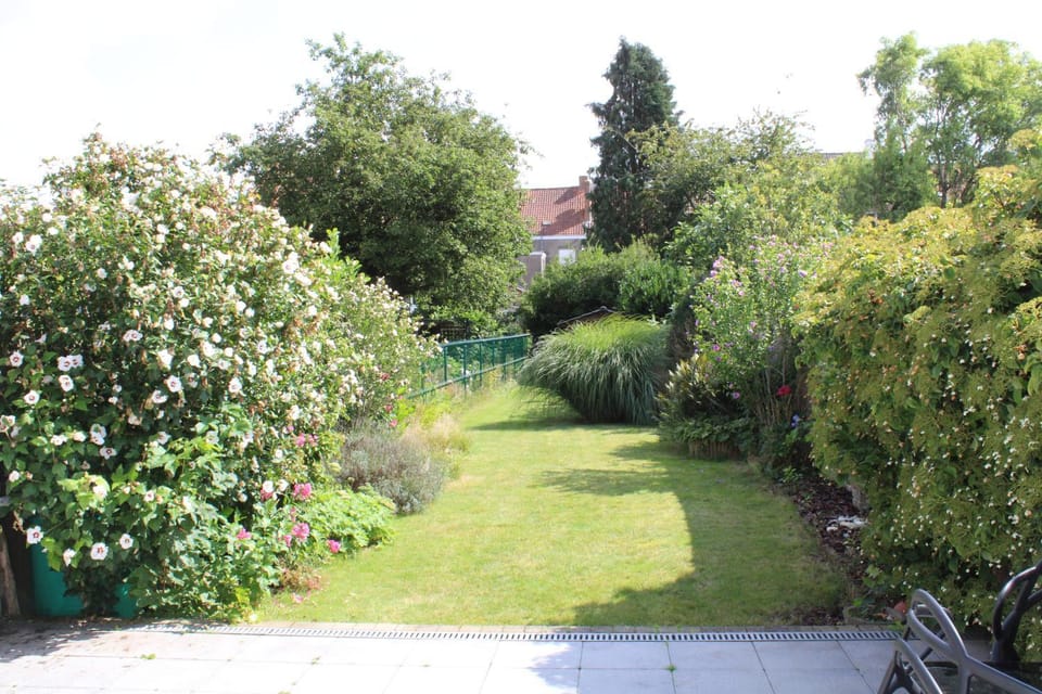 Garden, Garden view