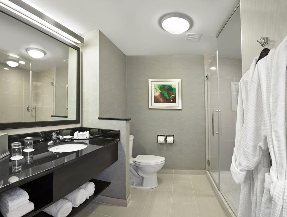 Shower, Toilet, Bathroom, towels