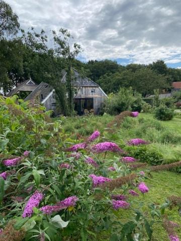 Orangerie Eext House in Drenthe (province)