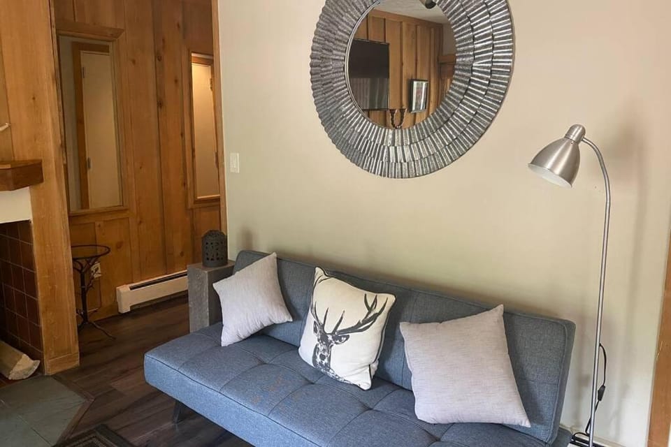 Cozy Apartment, Right in front of Lionshead Gondola Apartment in Vail