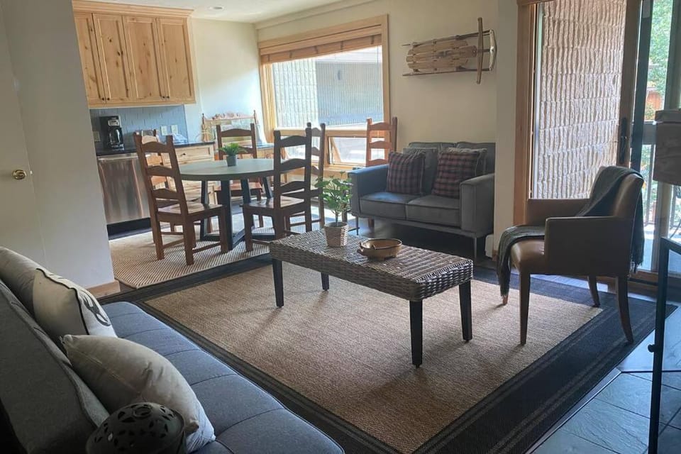 Cozy Apartment, Right in front of Lionshead Gondola Apartment in Vail