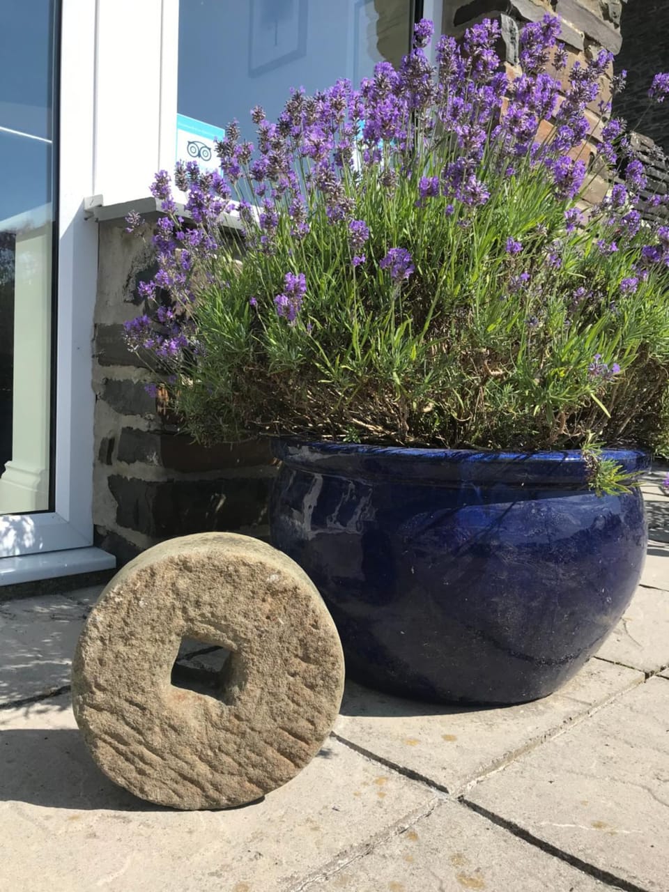 2 Bed Rural Escape between Coast & Mountains at Mud & Wool House in Wales