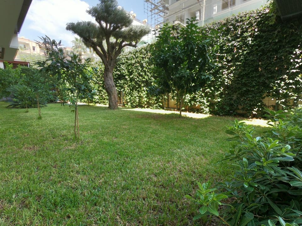 Garden, Garden