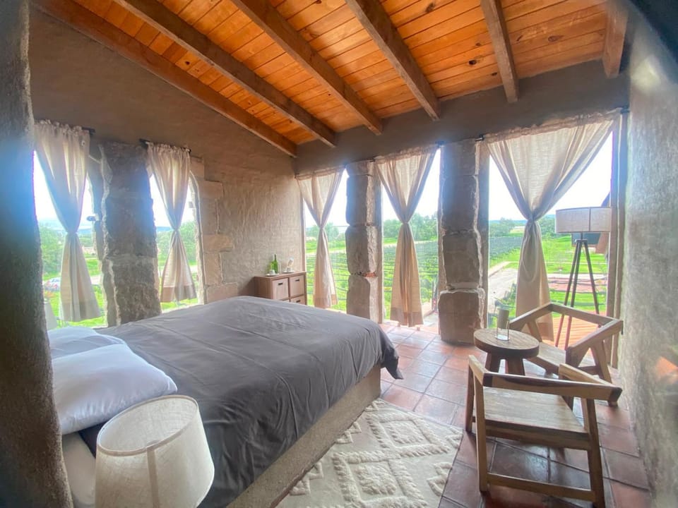 Hotel de Tierra Viñedo y Spa - Aeropuerto Querétaro Nature lodge in State of Querétaro