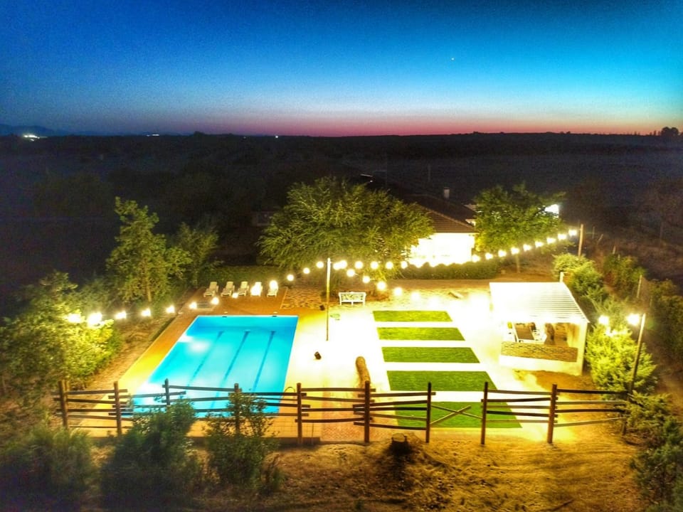 Night, Natural landscape, Pool view, Swimming pool, Swimming pool, sunbed