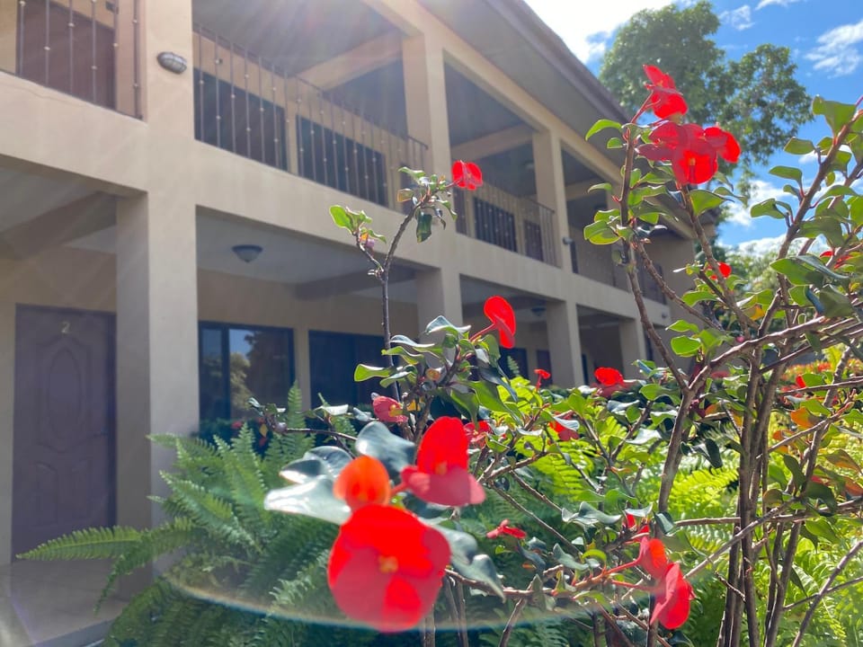 Hotel Real Alaska Bed and Breakfast in Liberia