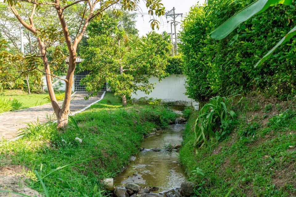 Natural landscape, Garden view