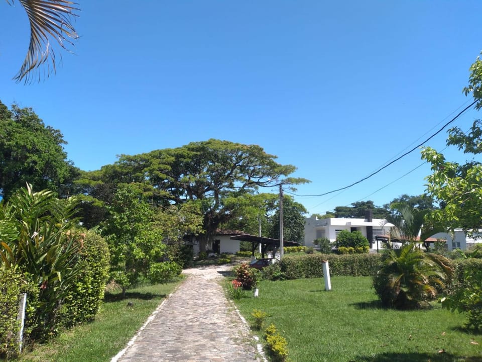 Garden view