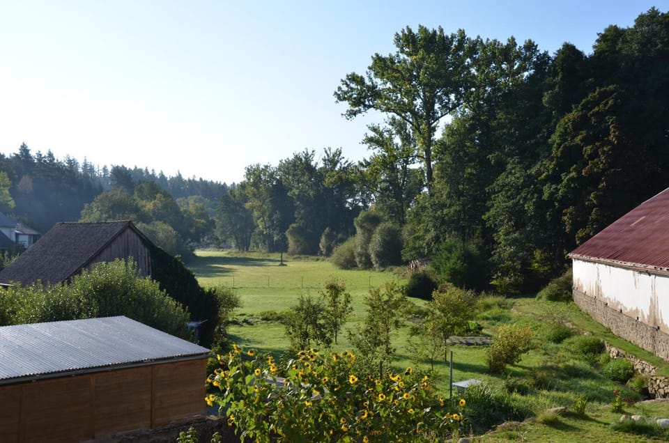 View (from property/room), Garden view