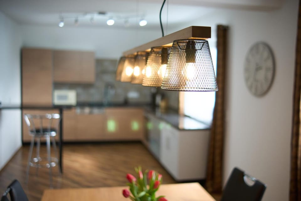 Kitchen or kitchenette, Dining area, minibar, pet friendly, stove