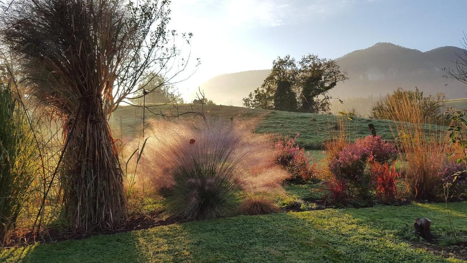 Spring, Day, Natural landscape, Garden, Garden view, Mountain view