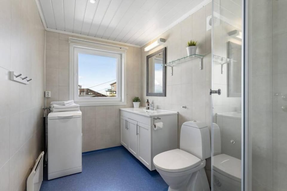 Shower, Toilet, Bathroom, washing machine