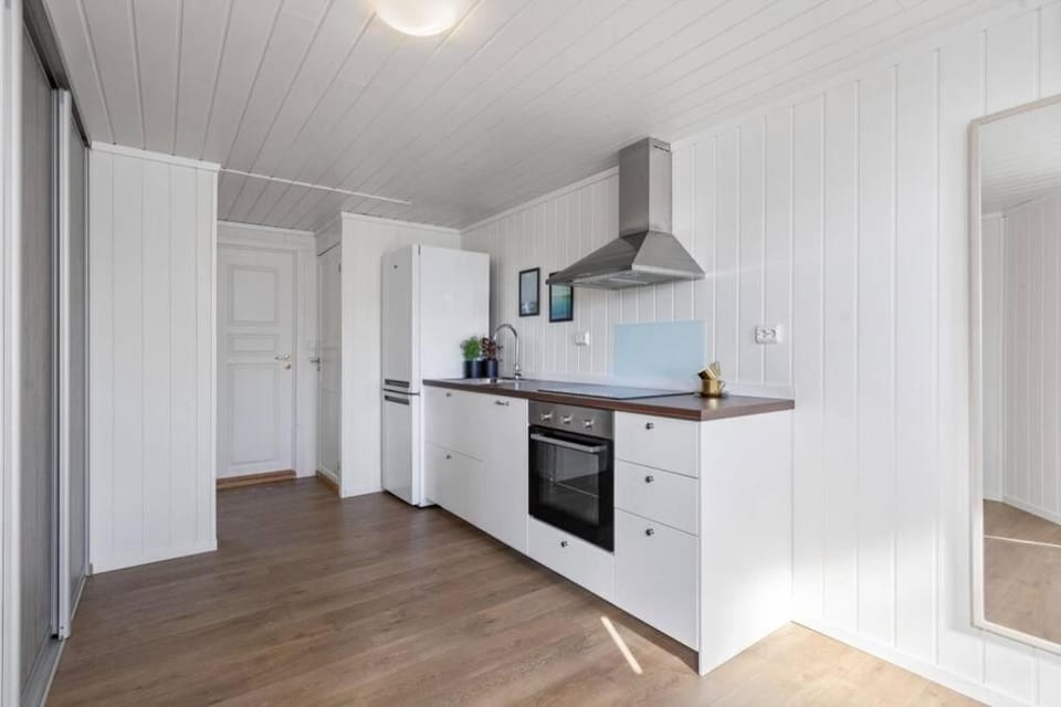 Kitchen or kitchenette, dishwasher, oven, stove
