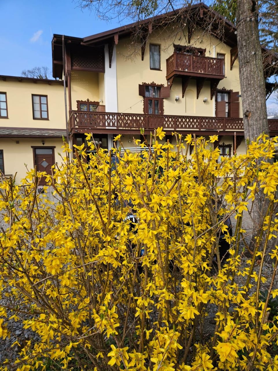 Villa Musik - apartments in historical Villa , Baden Apartment in Hungary