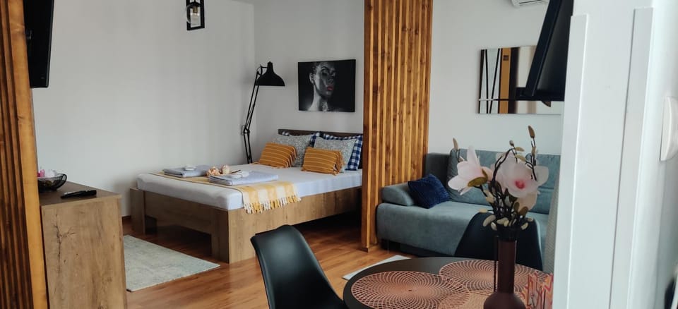 Over the City Apartment in Romania