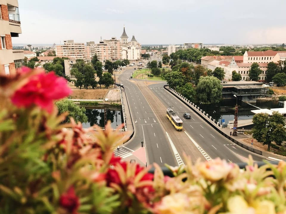 Bird's eye view, City view, River view, Street view